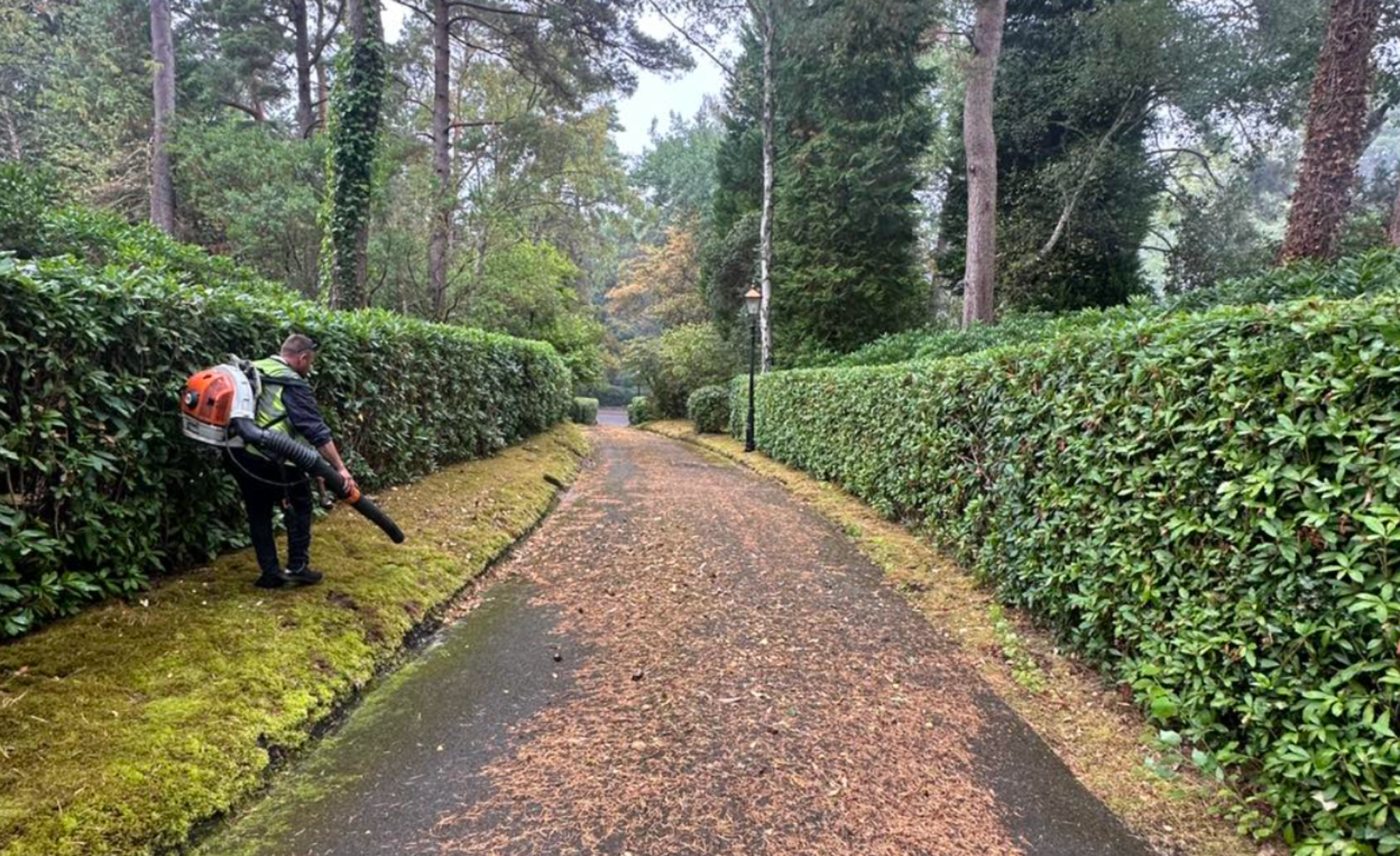 Well maintained garden by Alumhurst Garden Services