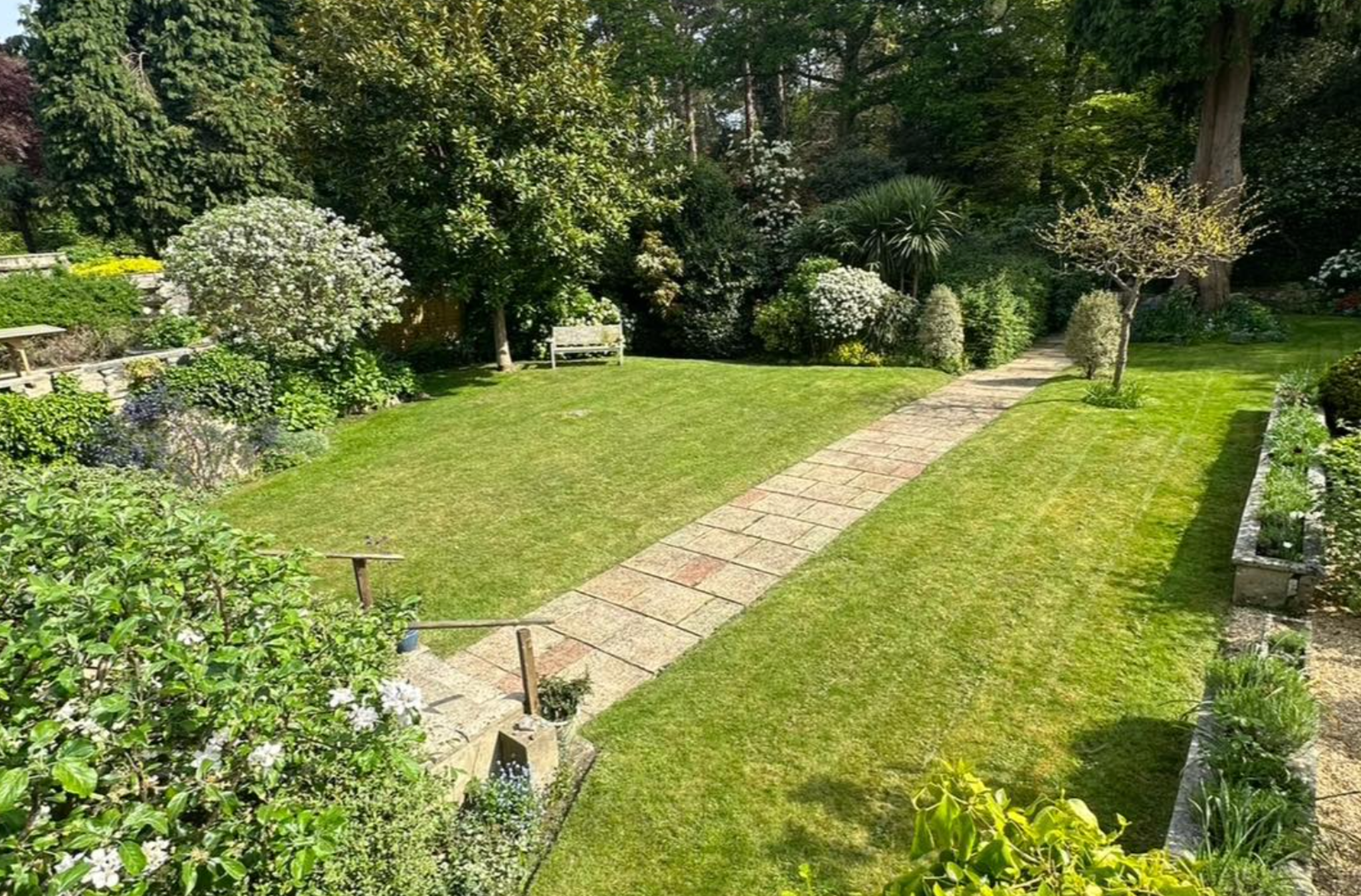 Hedge and pathway maintenance by Alumhurst Garden Services